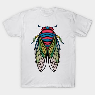 Cicada Fest 2024 Cicada Entomology Lover Broods XIX XIII T-Shirt